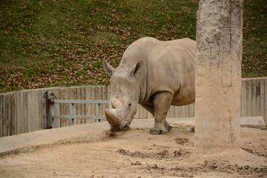 Similar image 22135009