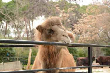 Similar image 22135010