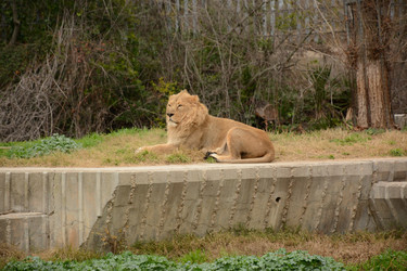 Similar image 22135011