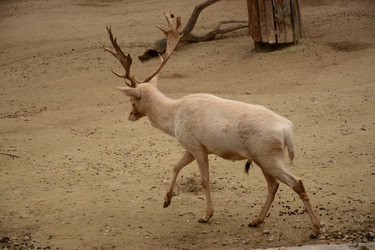 Similar image 22135013