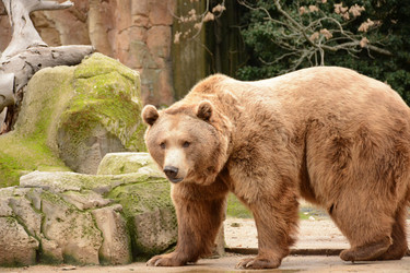 Similar image 22135014