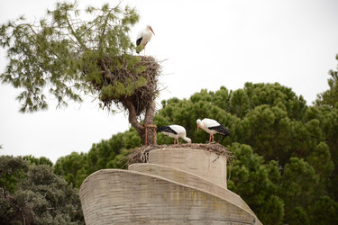 Similar image 22135015