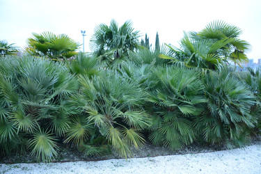 Similar image 22135016