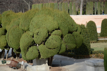 Similar image 22135017