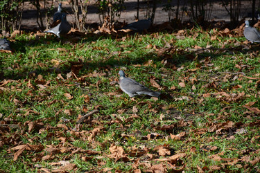 Similar image 22135018