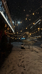 Similar image 22134583