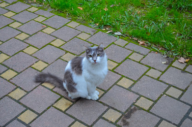 Similar image 22159542