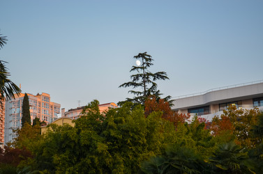 Similar image 22149984