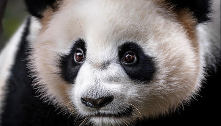 Similar image 22135663