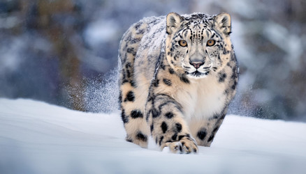 Similar image 22135671