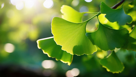 Similar image 22135672