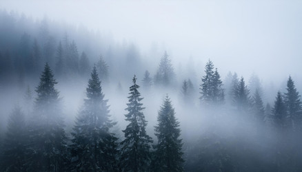 Similar image 22135707