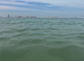 Similar image 22133752