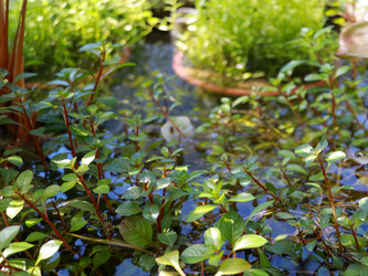 Similar image 22132589