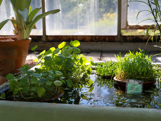 Similar image 22132599