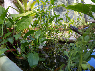 Similar image 22132601