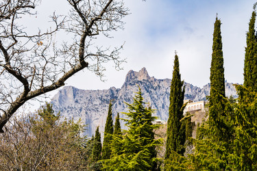 Similar image 22132604