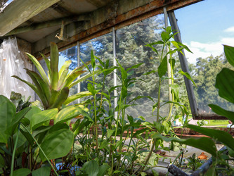 Similar image 22132611