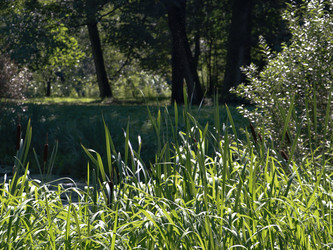 Similar image 22132613