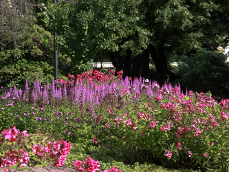 Similar image 22132618