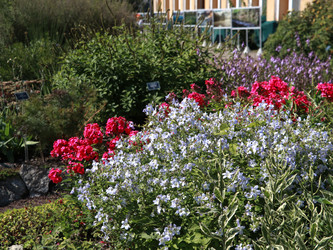 Similar image 22132622