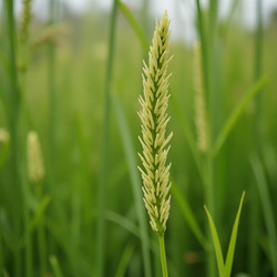 Similar image 22161655