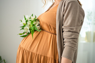 Similar image 22164441