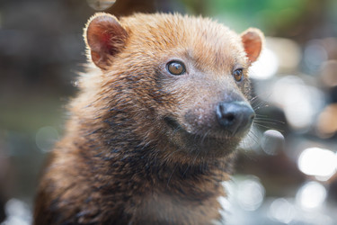 Similar image 22139335