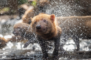 Similar image 22139336