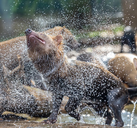 Similar image 22139337