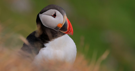 Similar image 22139339