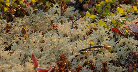 Similar image 22139365