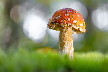 Similar image 22139366