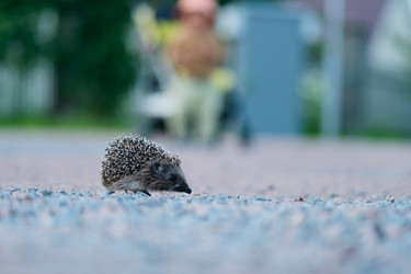 Similar image 22164446