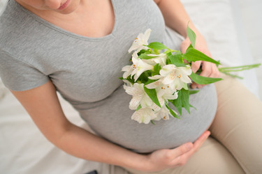 Similar image 22164455