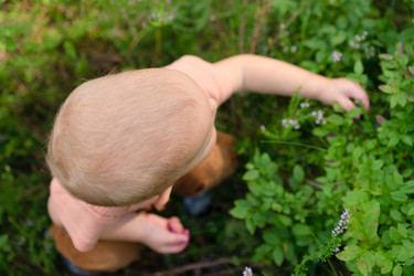 Similar image 22164461