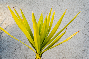 Similar image 22132623