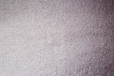 Similar image 22133592