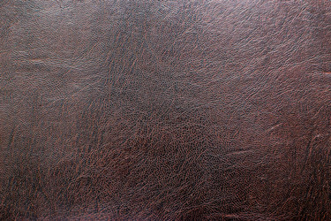 Similar image 22133595