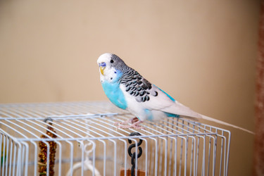 Similar image 22133599