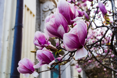 Similar image 22132626