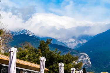 Similar image 22135750