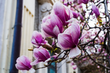 Similar image 22135752