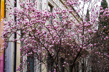 Similar image 22135753