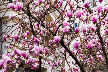 Similar image 22135754