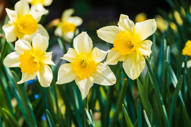 Similar image 22135923