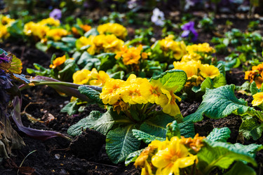 Similar image 22141583