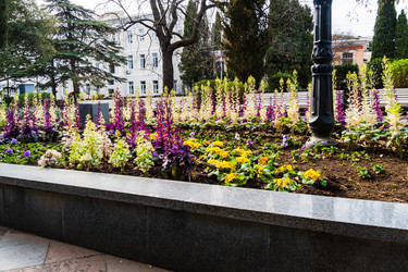 Similar image 22141586