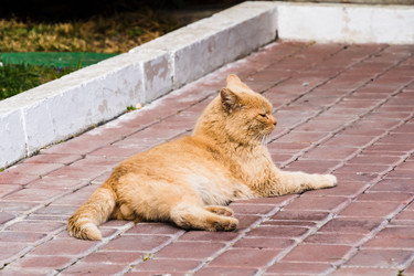 Similar image 22141591