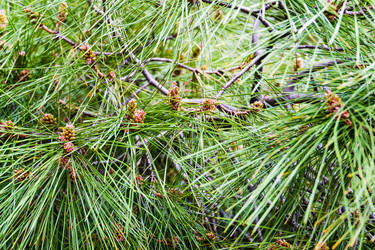 Similar image 22147849